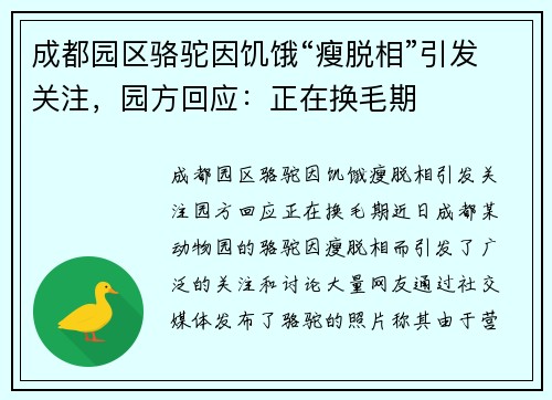 成都园区骆驼因饥饿“瘦脱相”引发关注，园方回应：正在换毛期